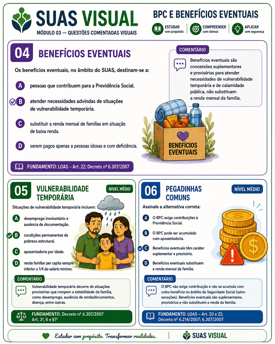 Resumo visual de Assistência Social